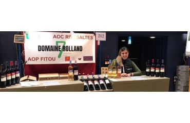 LA SAISON DES SALONS